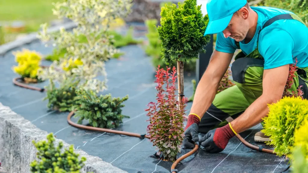 Importance Of Financial Planning In Garden Edging Projects